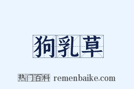 狗乳草是什么意思的图片